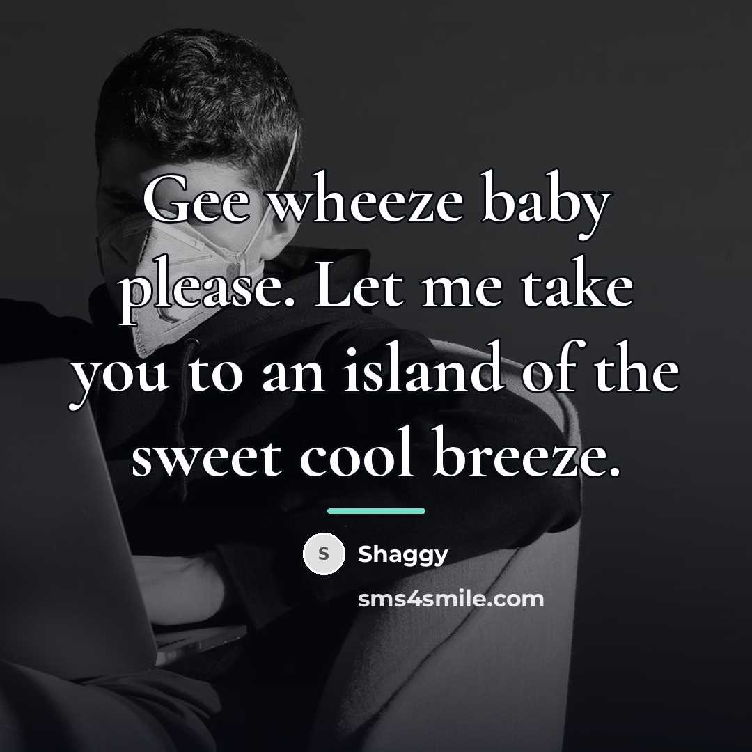 “Gee wheeze baby please. Let me take you to an…” quote by Shaggy