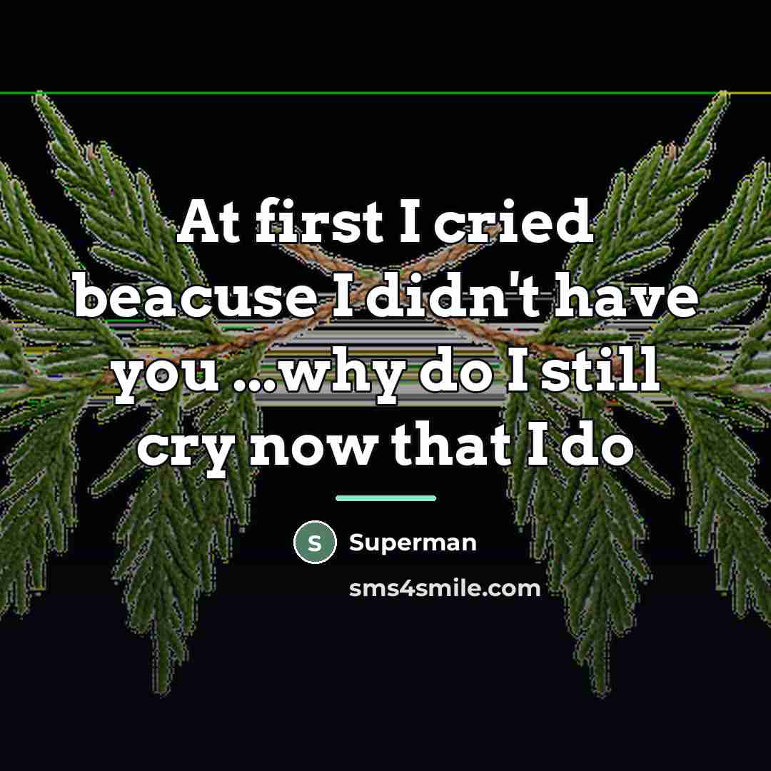 “At first I cried beacuse I didn't have you ...why…” quote by Superman