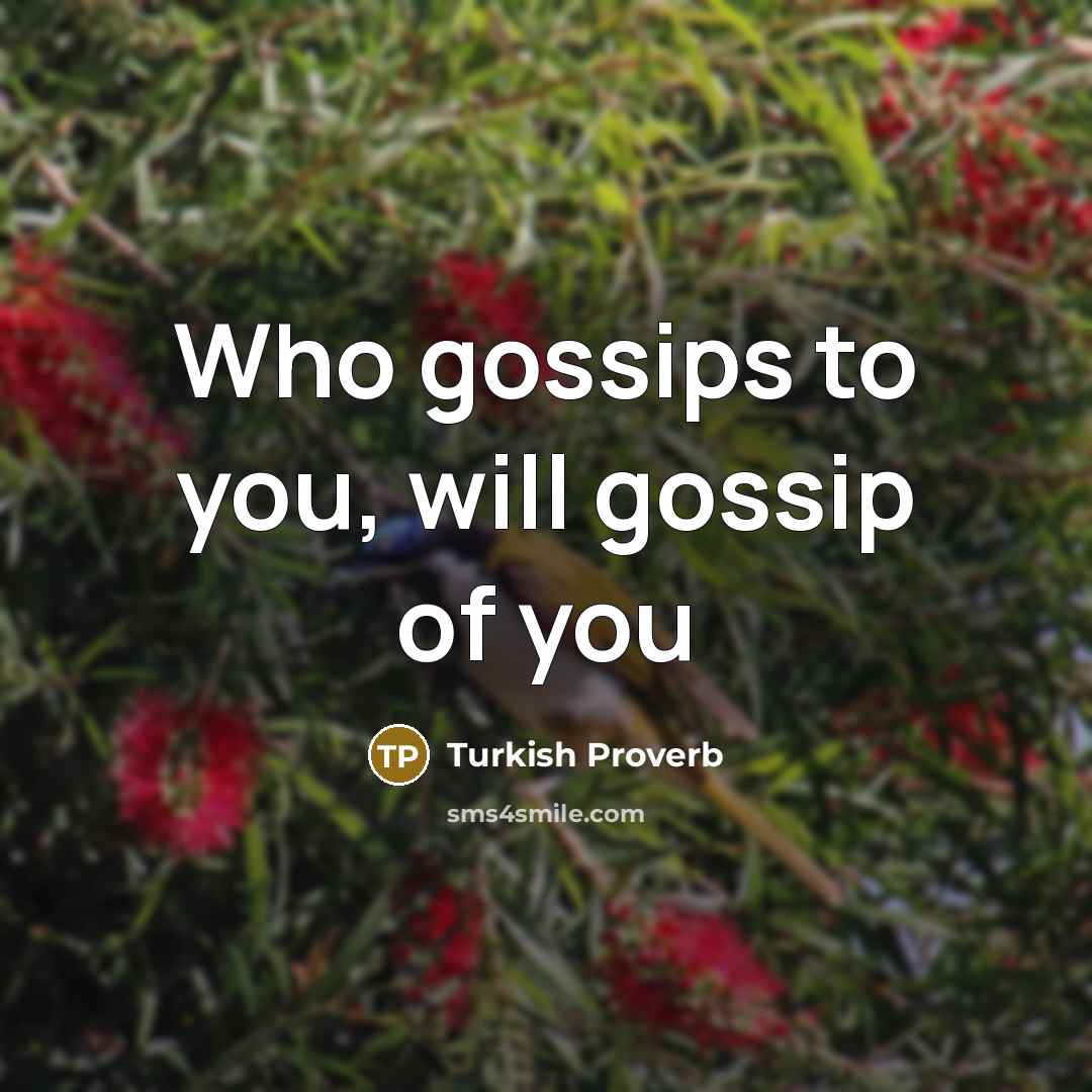 “Who gossips to you, will gossip of you…” quote by Turkish Proverb