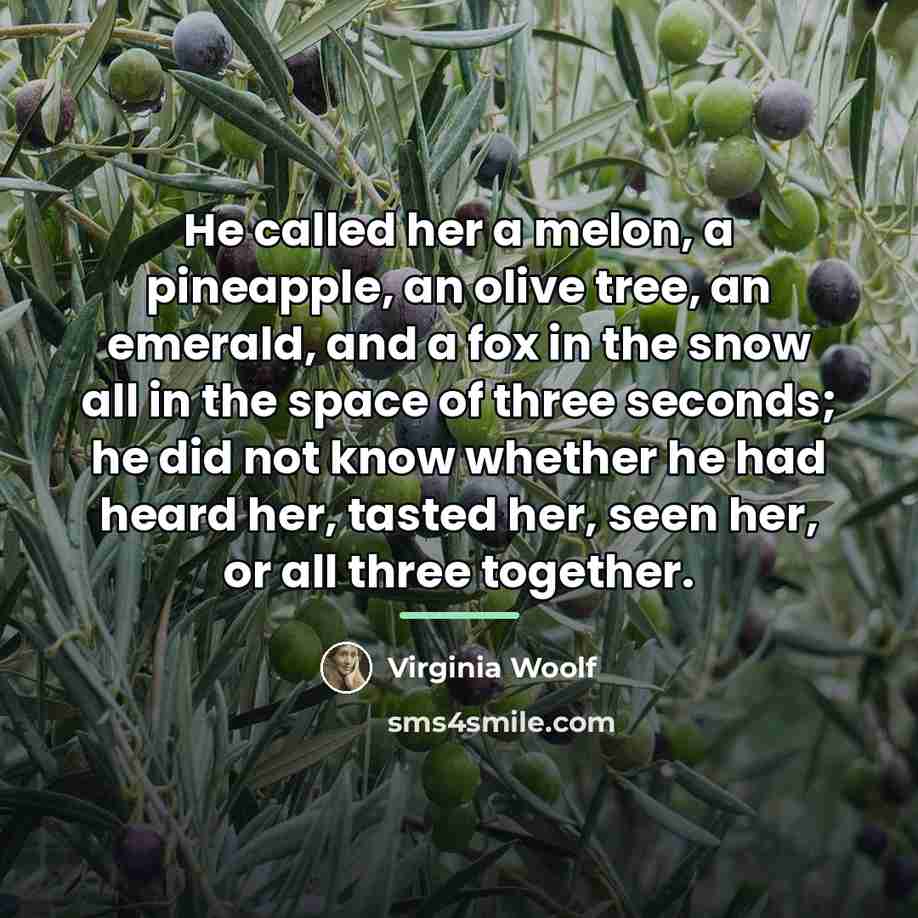 “He called her a melon, a pineapple, an olive tree,…” quote by Virginia Woolf