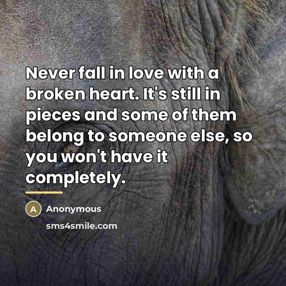 “Never fall in love with a broken heart. It's still…” quote by Anonymous
