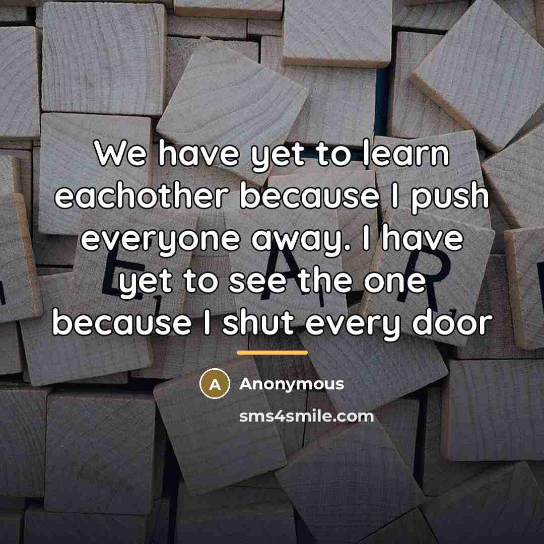 “We have yet to learn eachother because I push everyone…” quote by Anonymous