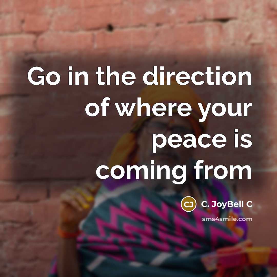 “Go in the direction of where your peace is coming…” quote by C. JoyBell C