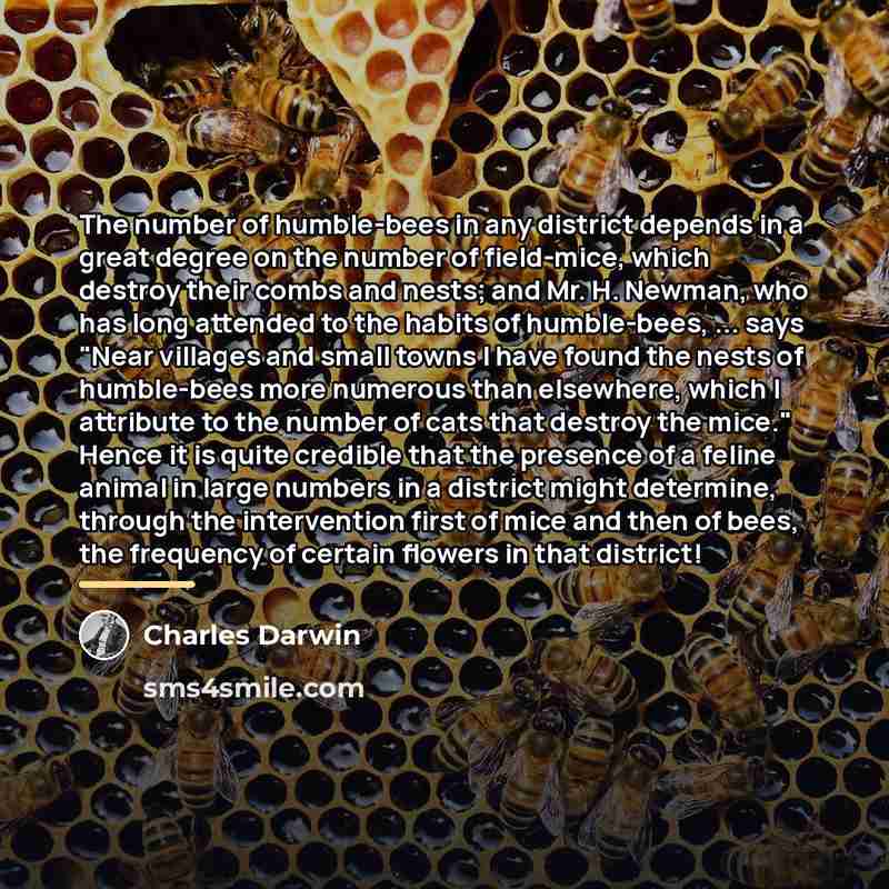 “The number of humble-bees in any district depends in a…” quote by Charles Darwin