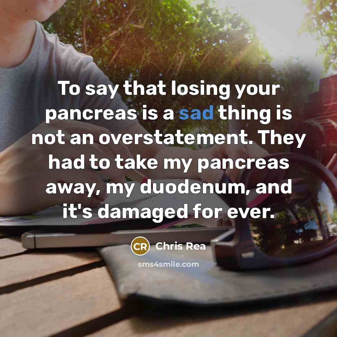 “To say that losing your pancreas is a sad thing…” quote by Chris Rea