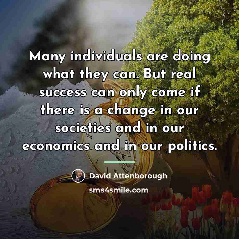 “Many individuals are doing what they can. But real success…” quote by David Attenborough