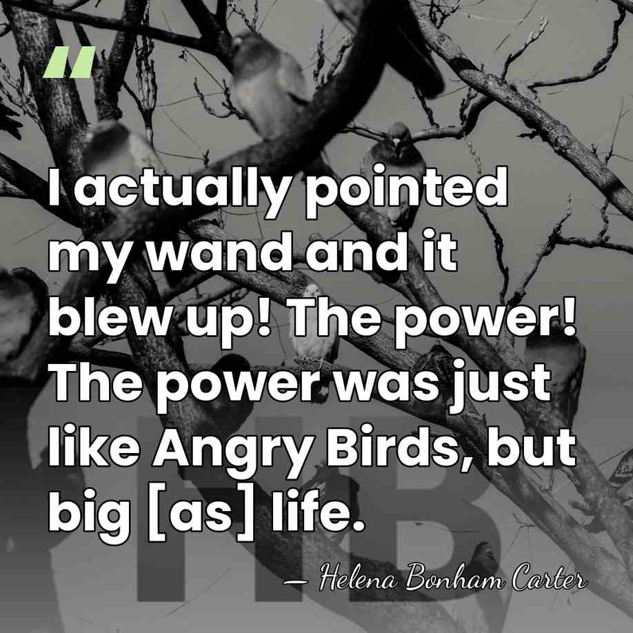 I actually pointed my wand and it blew up! The power! The&hellip; - Helena Bonham Carter