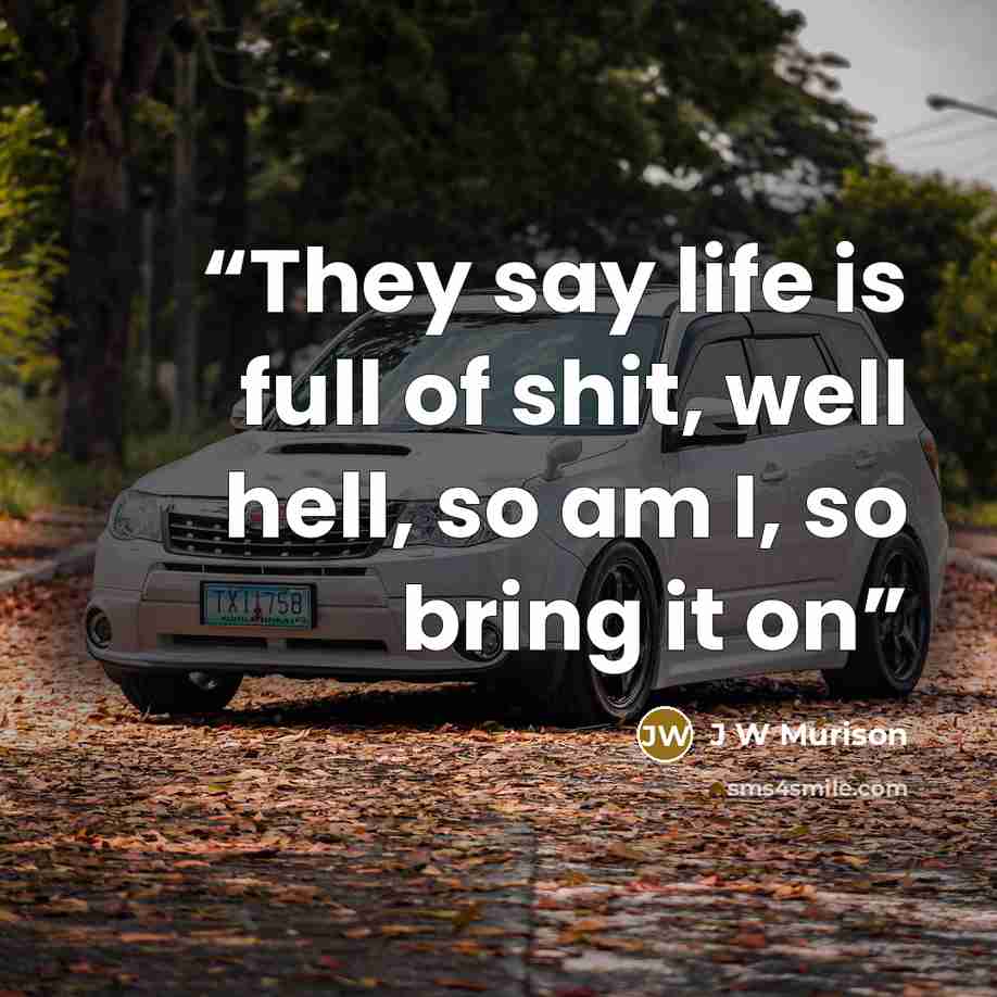 “They say life is full of shit, well hell, so am I, so bring it on” quote by J W Murison