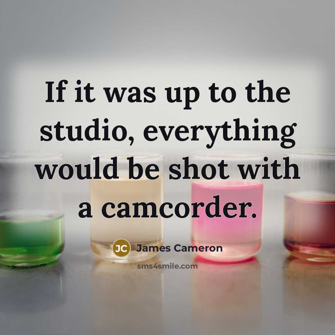 “If it was up to the studio, everything would be…” quote by James Cameron