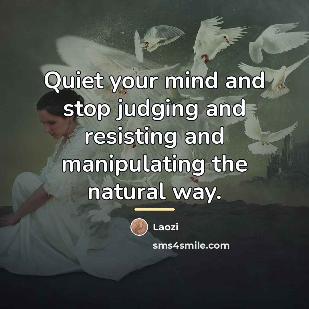 “Quiet your mind and stop judging and resisting and manipulating…” quote by Laozi