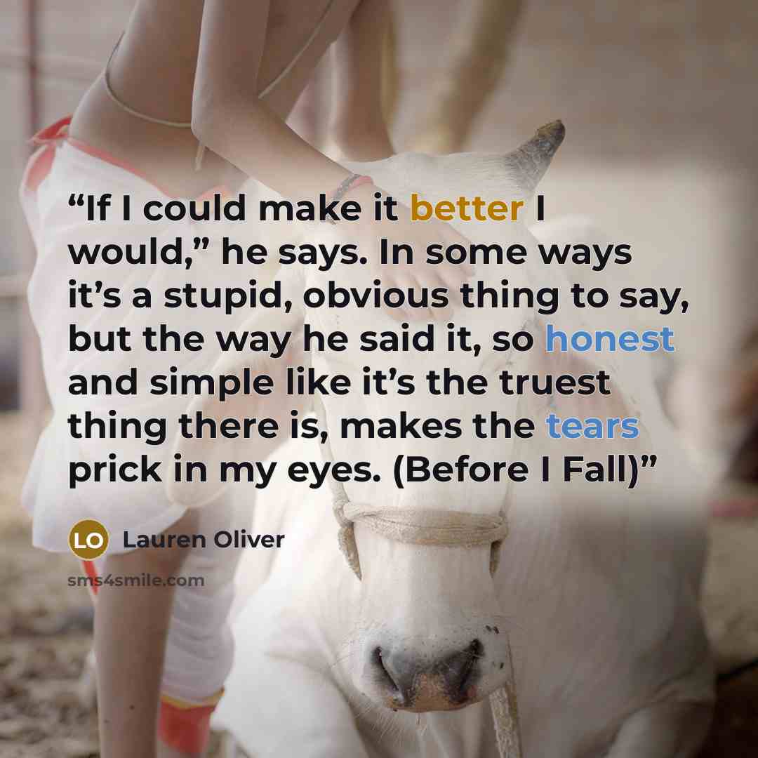 “If I could make it better I would,” he says. In some ways it’s a stupid, obvious thing to say, but the way he said it, so honest and simple like it’s the truest thing there is, makes the tears prick in my eyes. (Before I Fall)” quote by Lauren Oliver