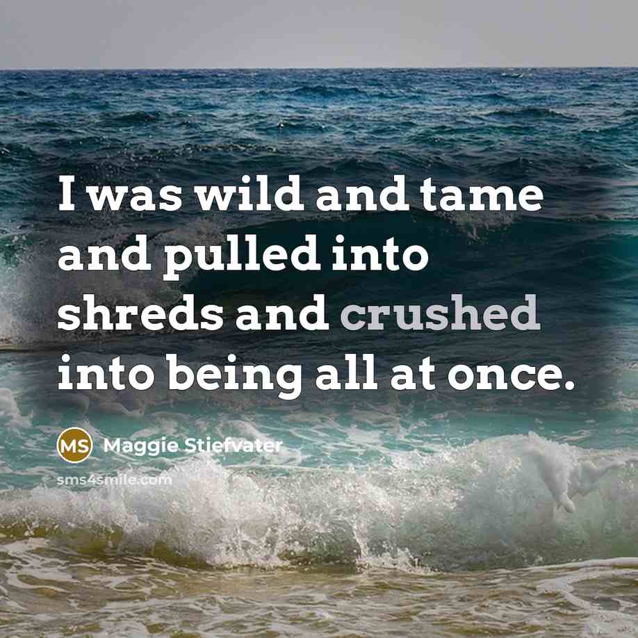 “I was wild and tame and pulled into shreds and…” quote by Maggie Stiefvater