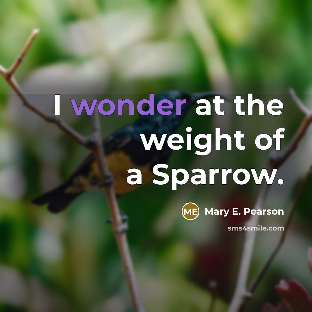 “I wonder at the weight of a Sparrow.” quote by Mary E. Pearson