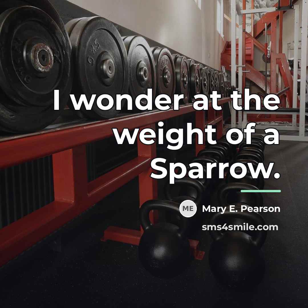 “I wonder at the weight of a Sparrow.…” quote by Mary E. Pearson