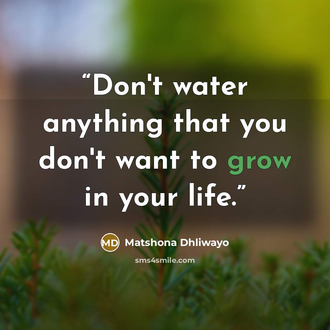 “Don't water anything that you don't want to grow in your life.” quote by Matshona Dhliwayo