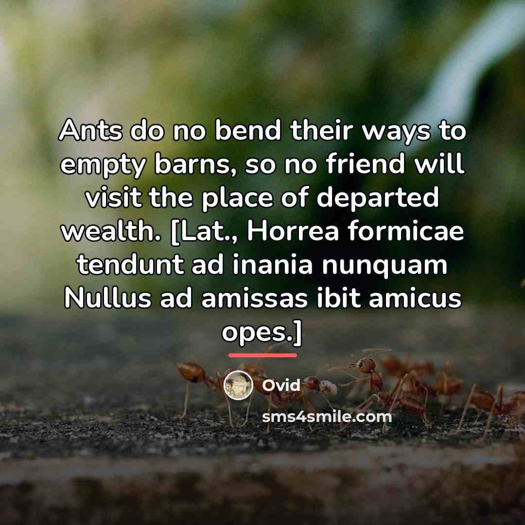 “Ants do no bend their ways to empty barns, so…” quote by Ovid