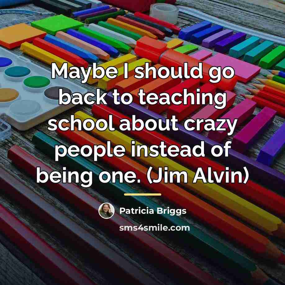 “Maybe I should go back to teaching school about crazy…” quote by Patricia Briggs