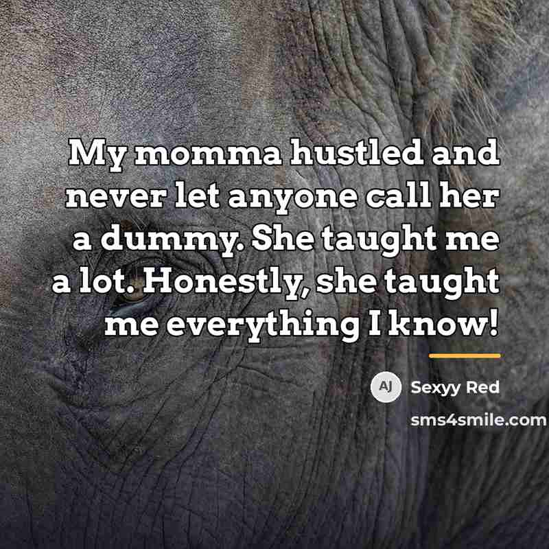 “My momma hustled and never let anyone call her a…” quote by Sexyy Red