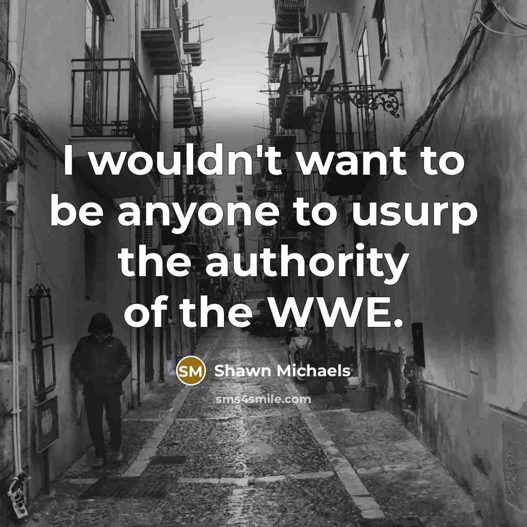 “I wouldn't want to be anyone to usurp the authority…” quote by Shawn Michaels