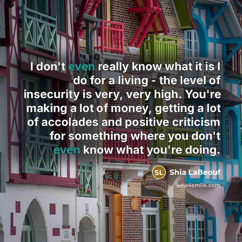 “I don't even really know what it is I do…” quote by Shia LaBeouf