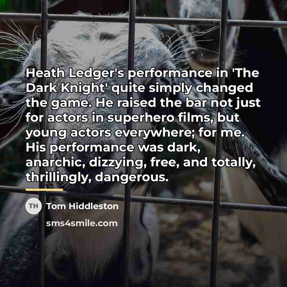 “Heath Ledger's performance in 'The Dark Knight' quite simply changed…” quote by Tom Hiddleston