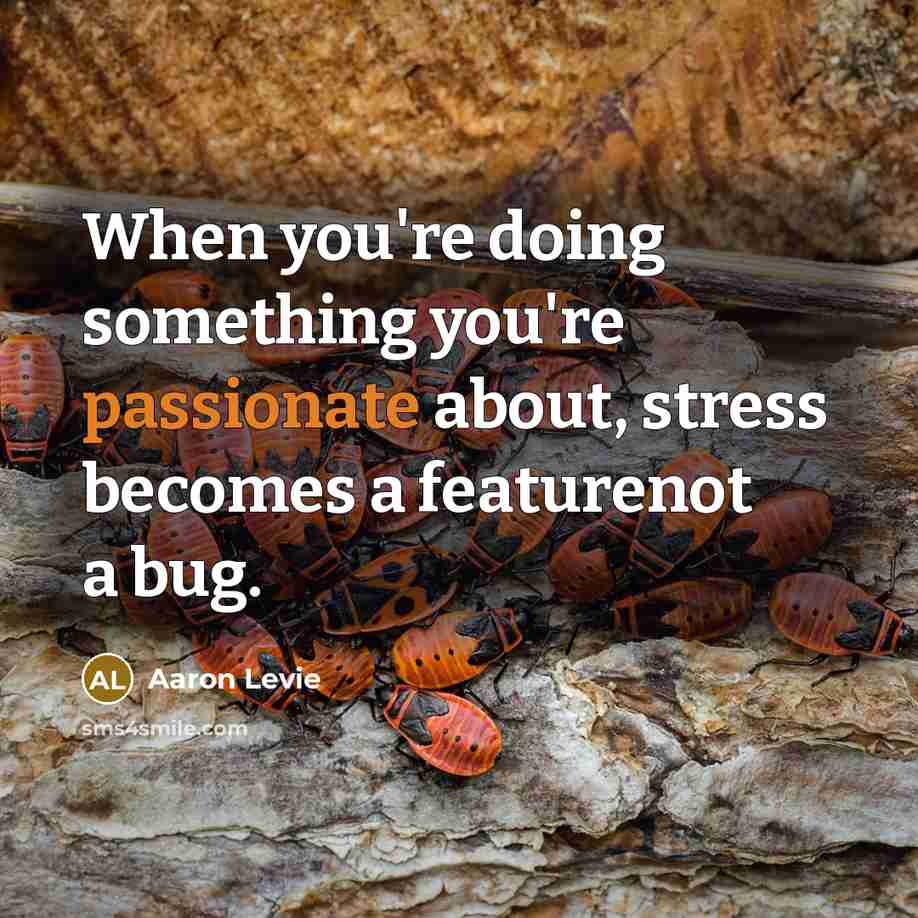 “When you're doing something you're passionate about, stress becomes a…” quote by Aaron Levie