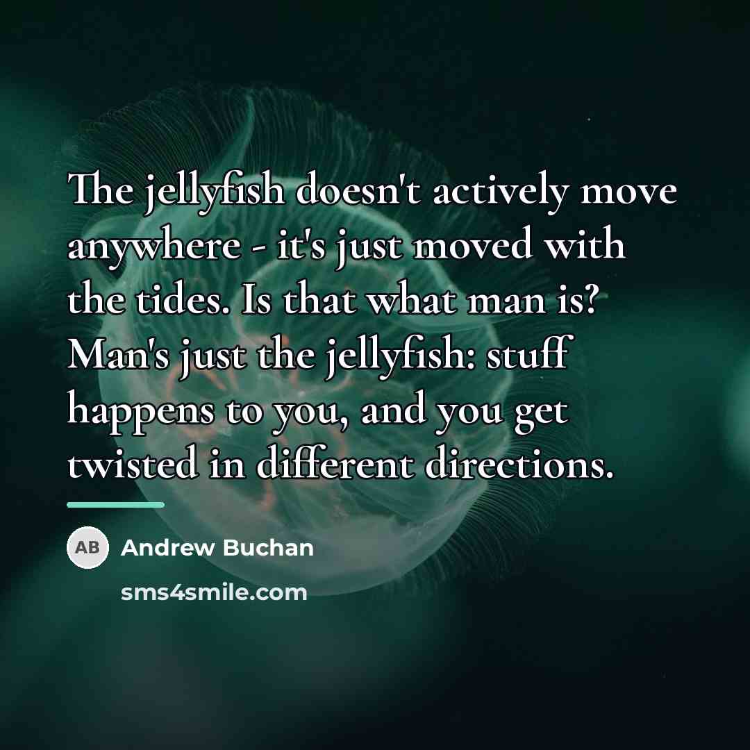 “The jellyfish doesn't actively move anywhere - it's just moved…” quote by Andrew Buchan