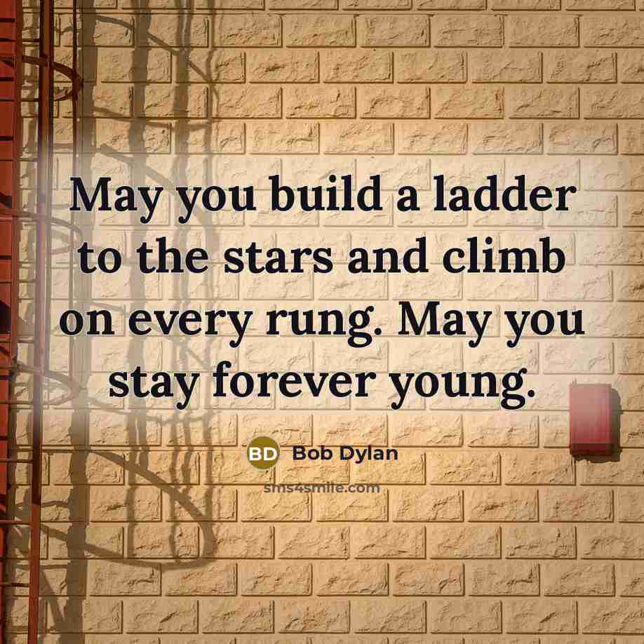 “May you build a ladder to the stars and climb…” quote by Bob Dylan
