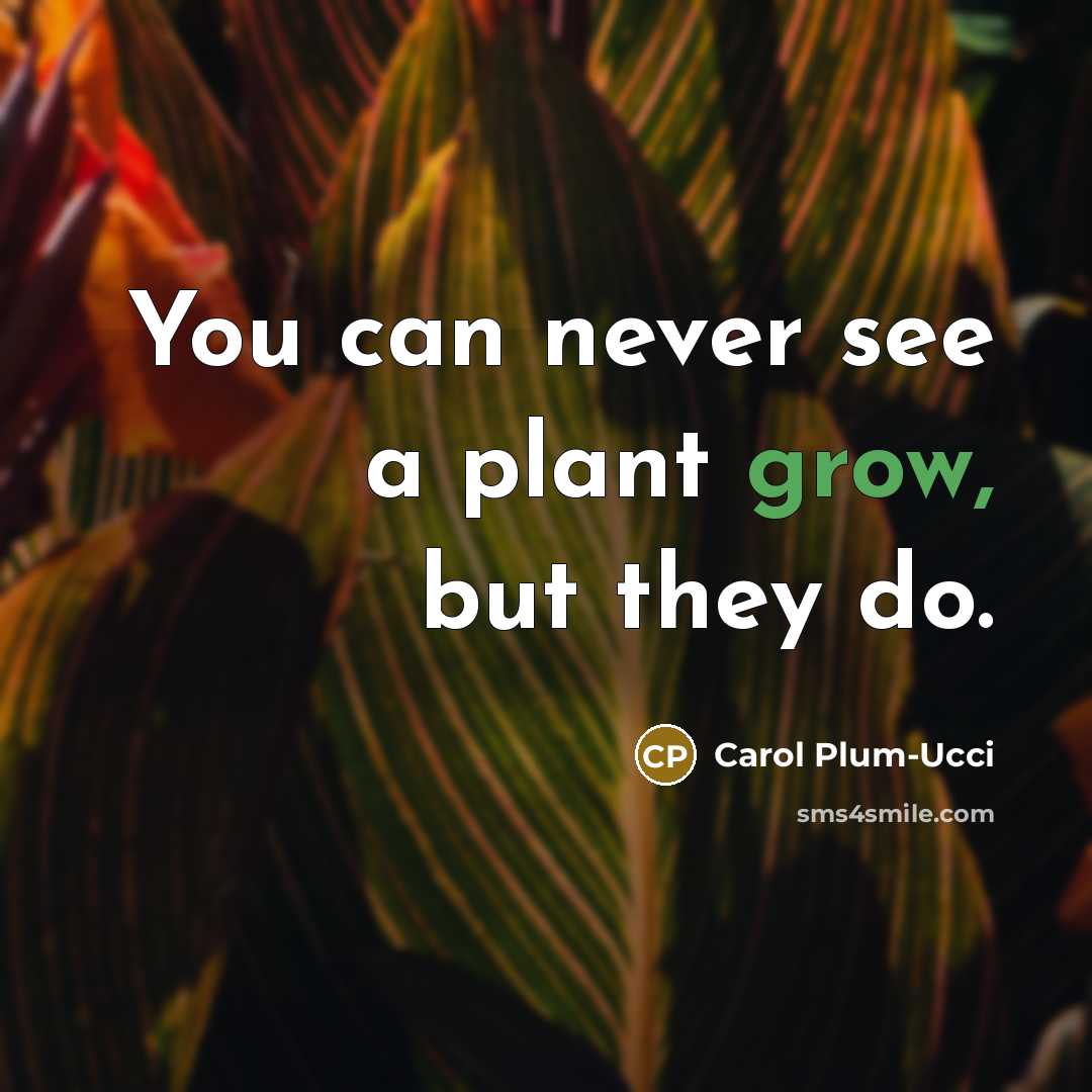 “You can never see a plant grow, but they do.” quote by Carol Plum-Ucci