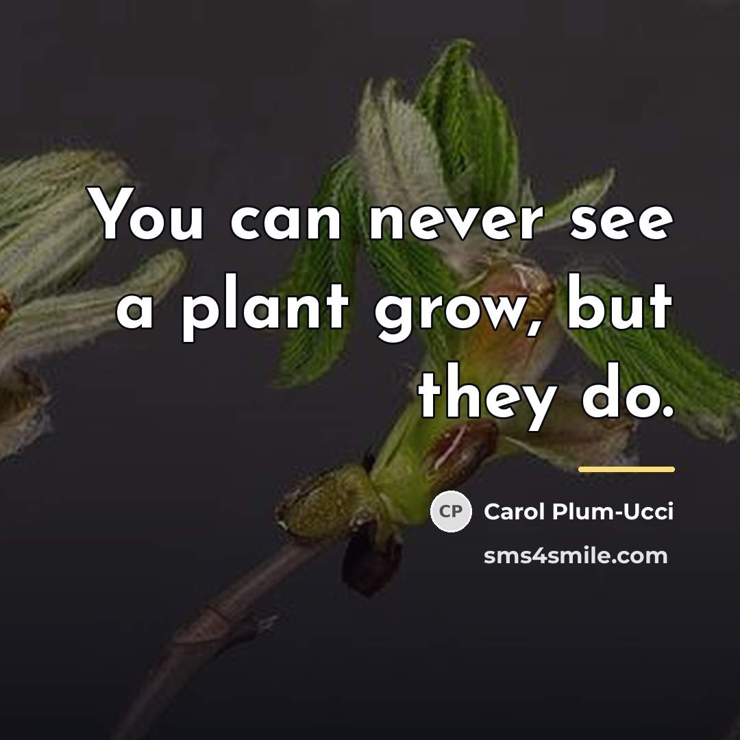 “You can never see a plant grow, but they do.…” quote by Carol Plum-Ucci