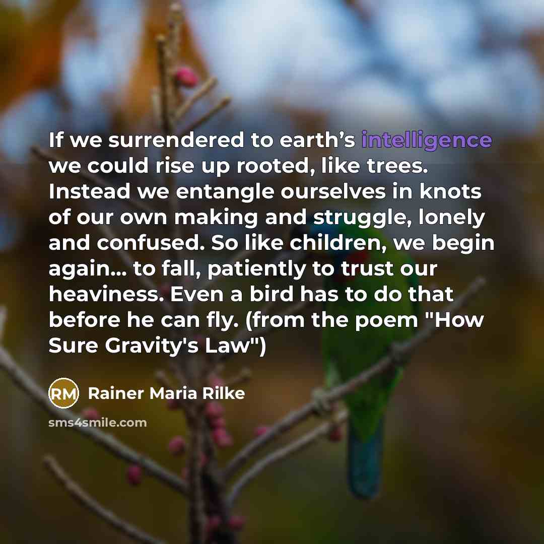“If we surrendered to earth’s intelligence we could rise up…” quote by Rainer Maria Rilke