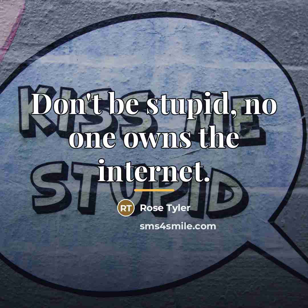 “Don't be stupid, no one owns the internet.…” quote by Rose Tyler