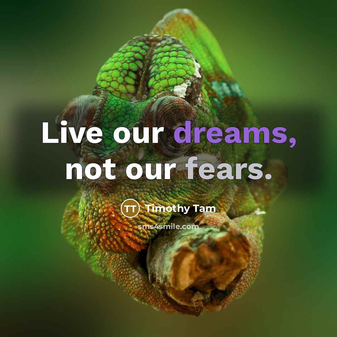 “Live our dreams, not our fears.…” quote by Timothy Tam