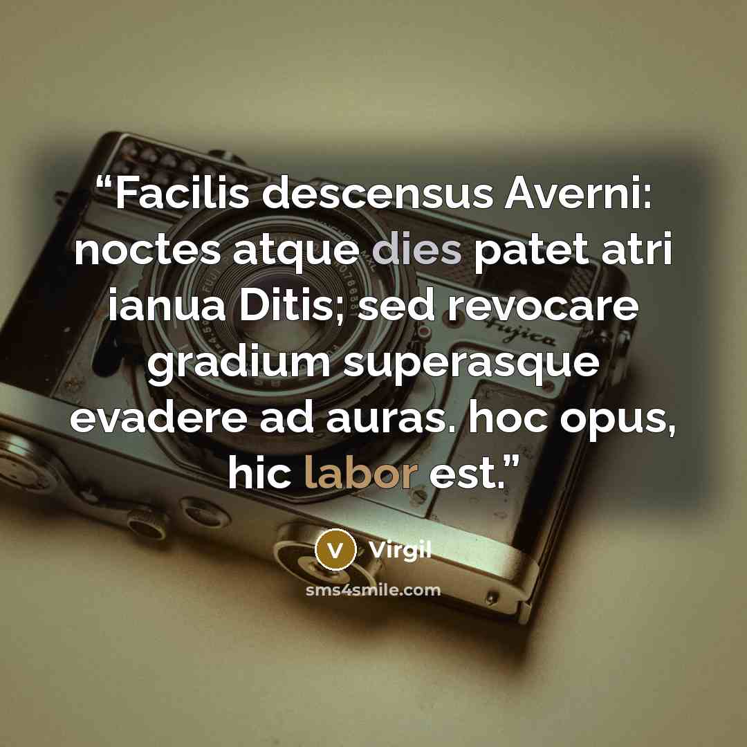 “Facilis descensus Averni: noctes atque dies patet atri ianua Ditis; sed revocare gradium superasque evadere ad auras. hoc opus, hic labor est.” quote by Virgil