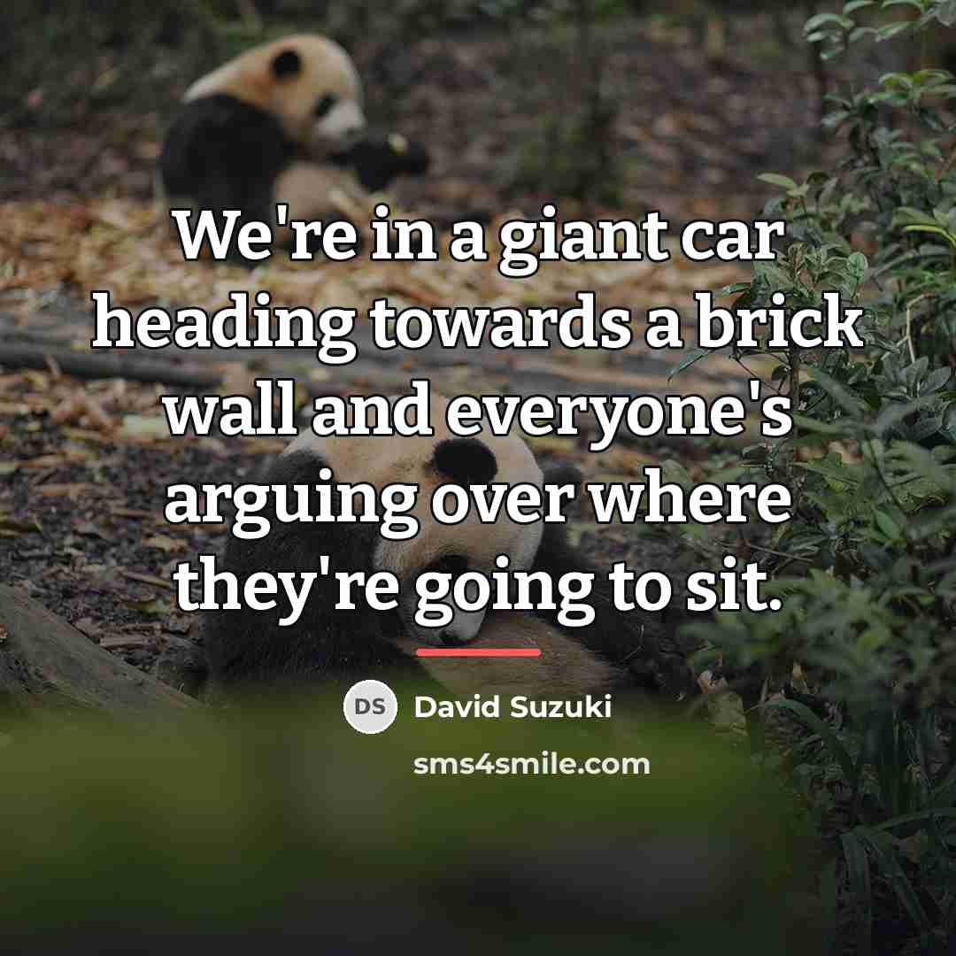 “We're in a giant car heading towards a brick wall…” quote by David Suzuki