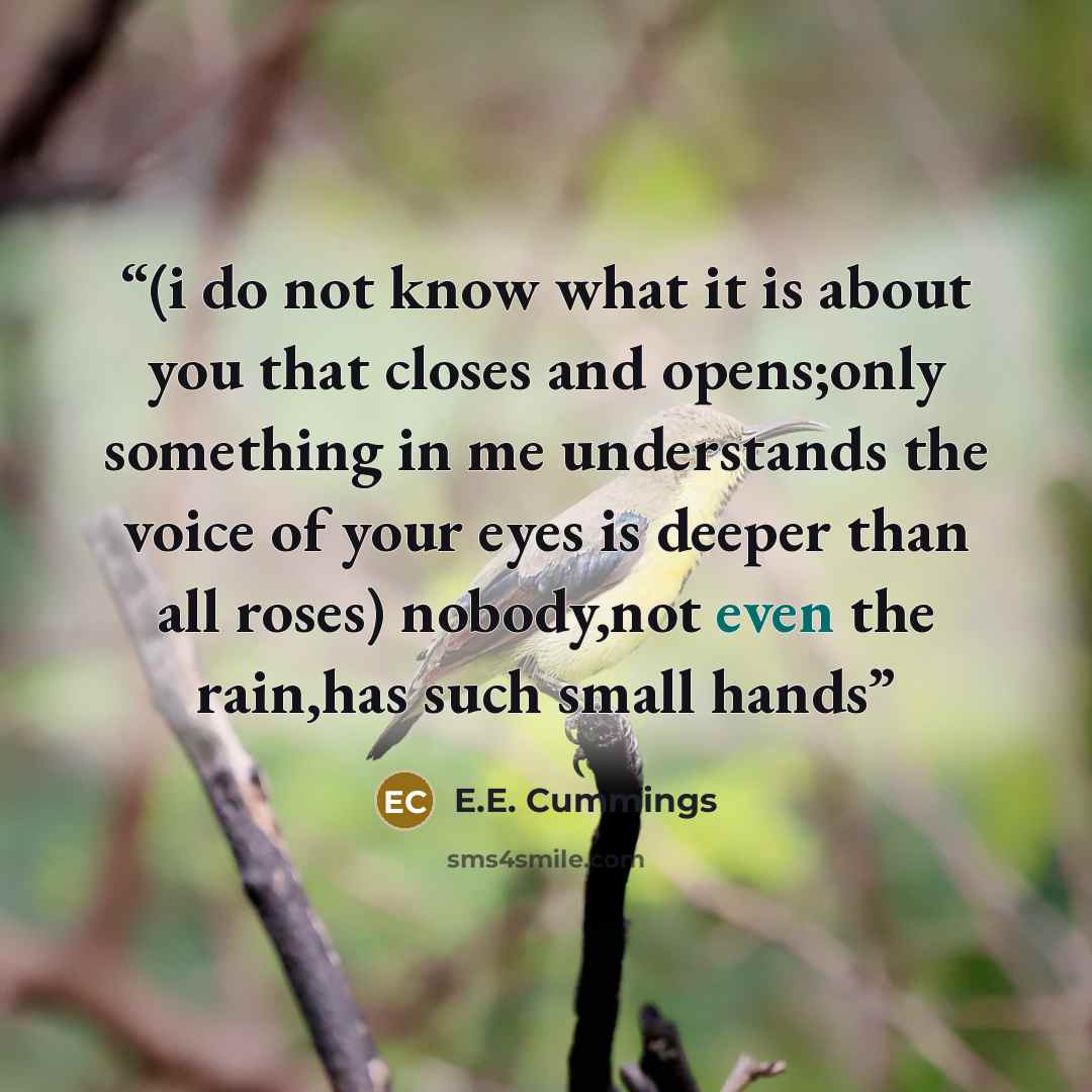 “(i do not know what it is about you that closes and opens;only something in me understands the voice of your eyes is deeper than all roses) nobody,not even the rain,has such small hands” quote by e.e. cummings