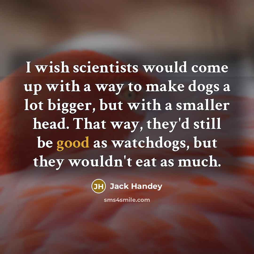 “I wish scientists would come up with a way to make dogs a lot bigger, but with a smaller head. That way, they'd still be good as watchdogs, but they wouldn't eat as much.” quote by Jack Handey