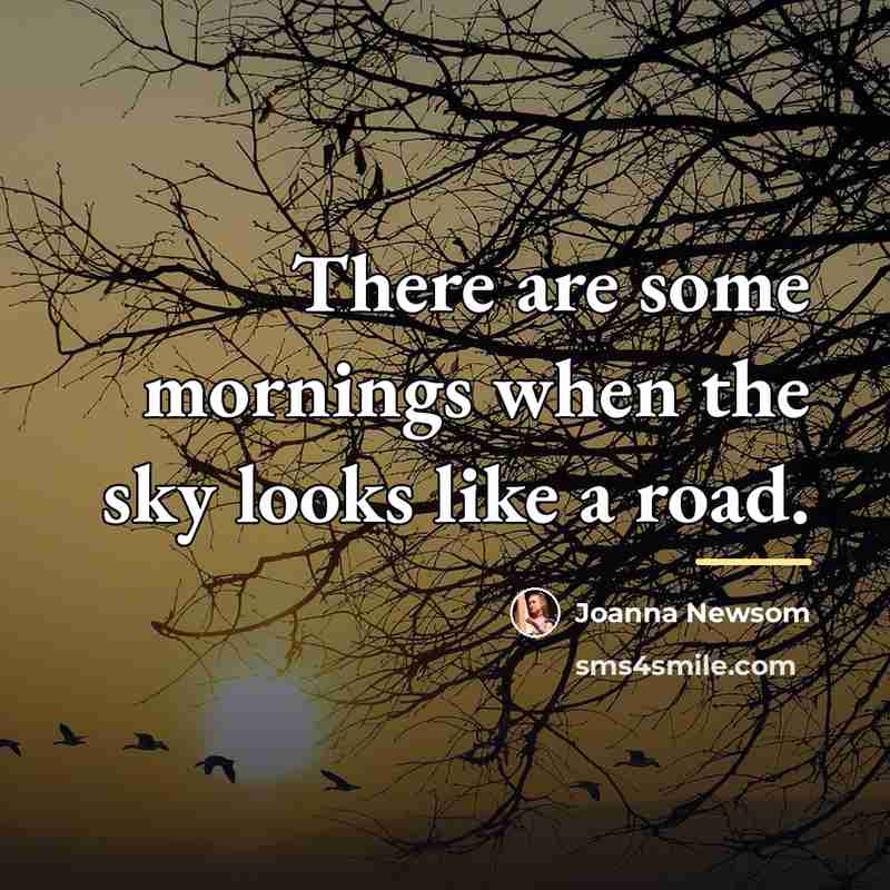 “There are some mornings when the sky looks like a…” quote by Joanna Newsom