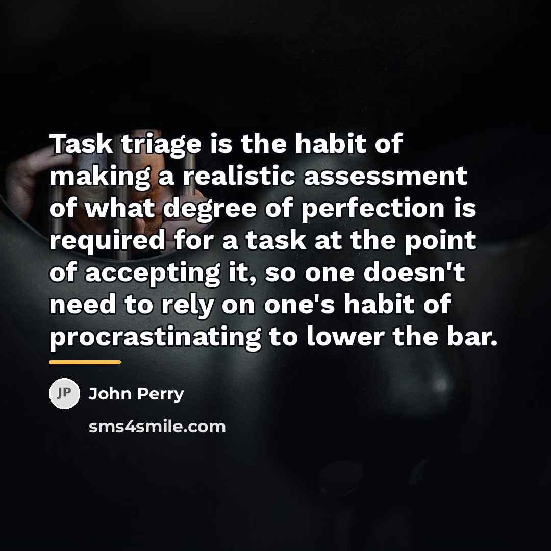“Task triage is the habit of making a realistic assessment…” quote by John Perry