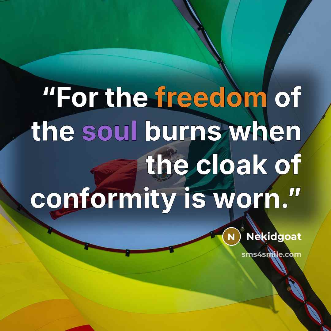 “For the freedom of the soul burns when the cloak of conformity is worn.” quote by Nekidgoat