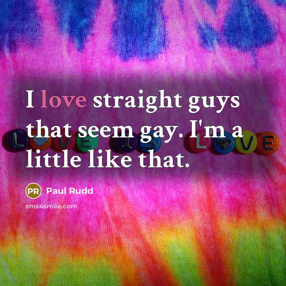 “I love straight guys that seem gay. I'm a little…” quote by Paul Rudd