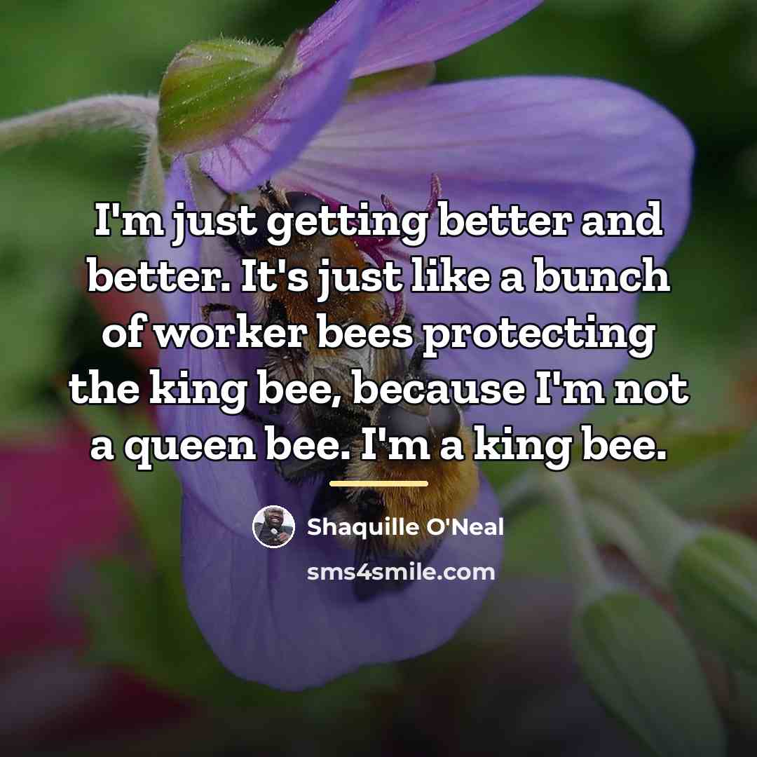 “I'm just getting better and better. It's just like a…” quote by Shaquille O'Neal