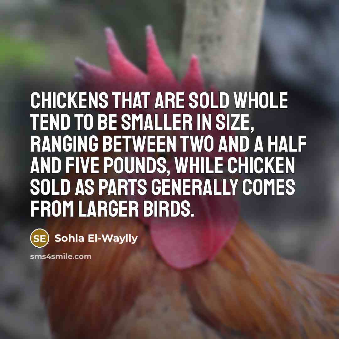 “Chickens that are sold whole tend to be smaller in…” quote by Sohla El-Waylly