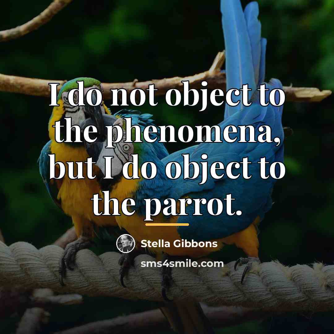 “I do not object to the phenomena, but I do…” quote by Stella Gibbons