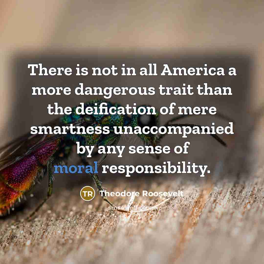“There is not in all America a more dangerous trait…” quote by Theodore Roosevelt