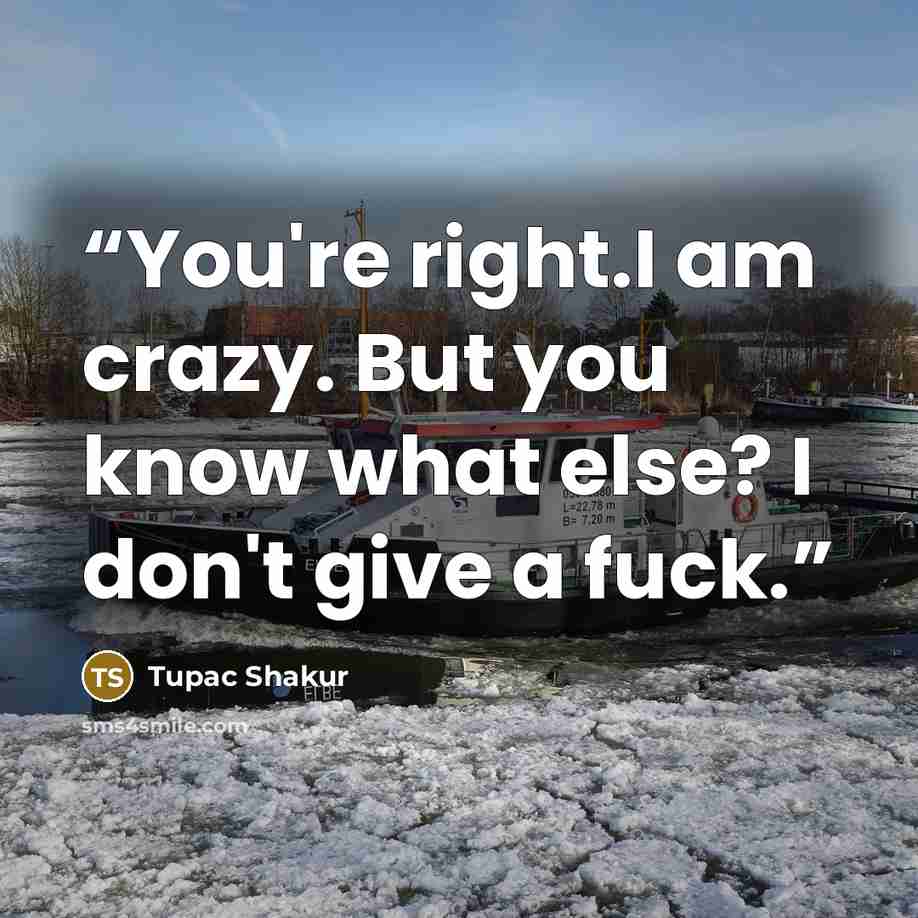“You're right.I am crazy. But you know what else? I don't give a fuck.” quote by Tupac Shakur