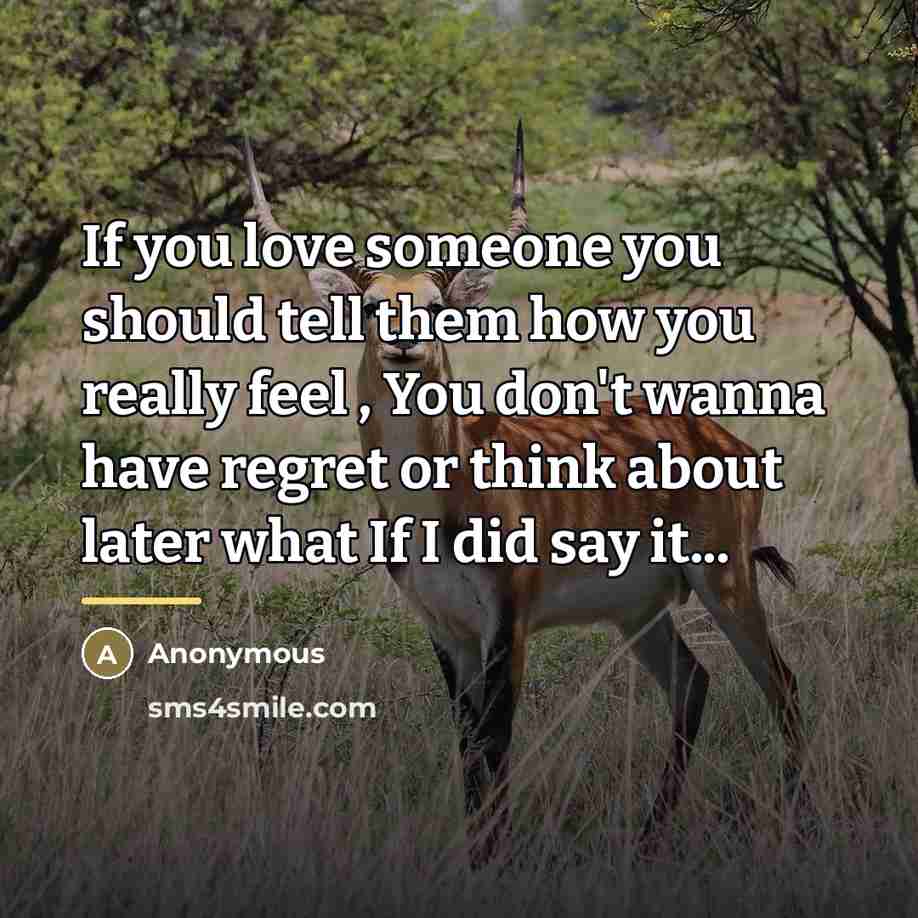 “If you love someone you should tell them how you really feel , You don't wanna have regret or think about later what If I did say it...” quote by Anonymous