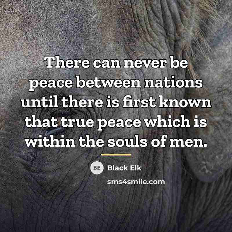 “There can never be peace between nations until there is…” quote by Black Elk