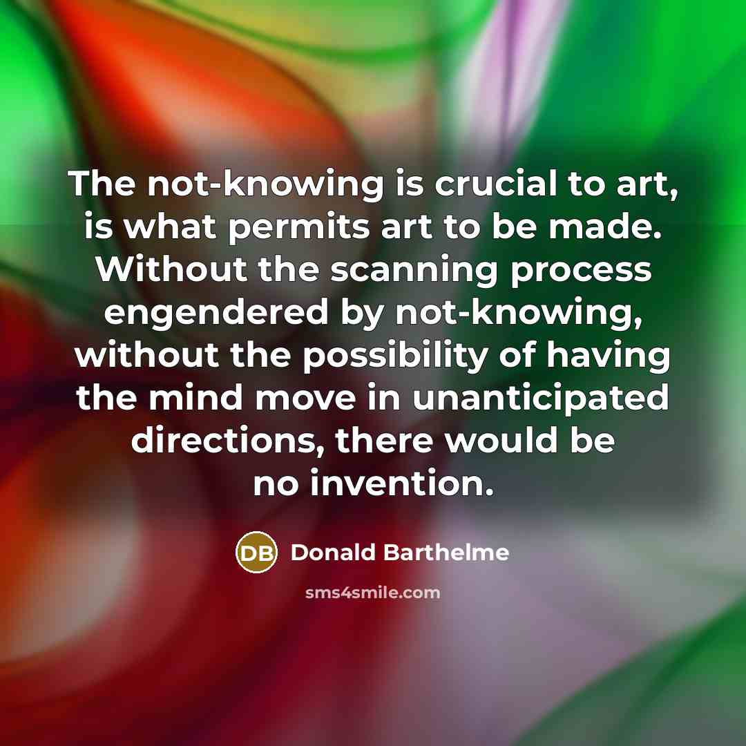 “The not-knowing is crucial to art, is what permits art…” quote by Donald Barthelme