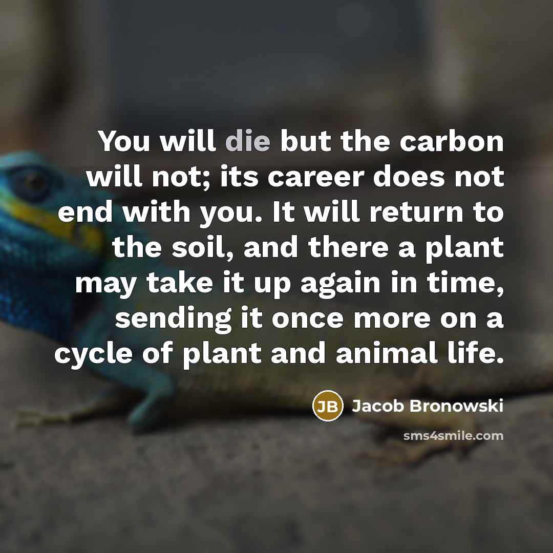 “You will die but the carbon will not; its career…” quote by Jacob Bronowski